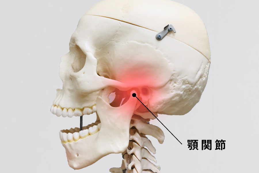 顎関節