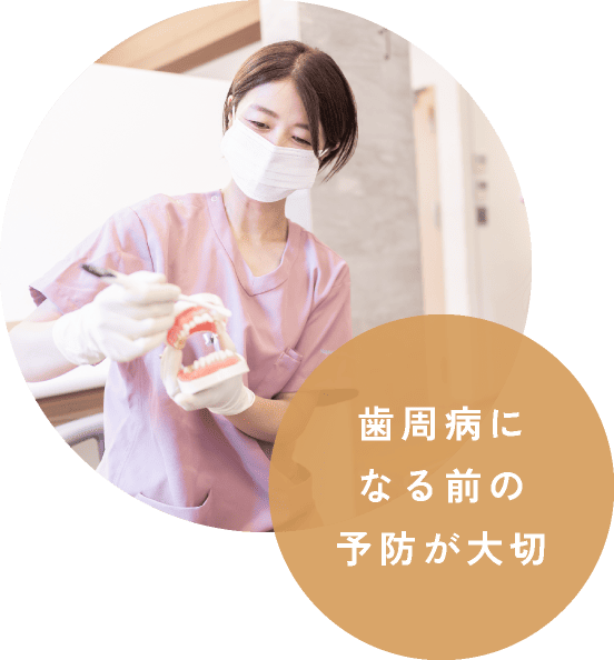 歯周病になる前の予防が大切