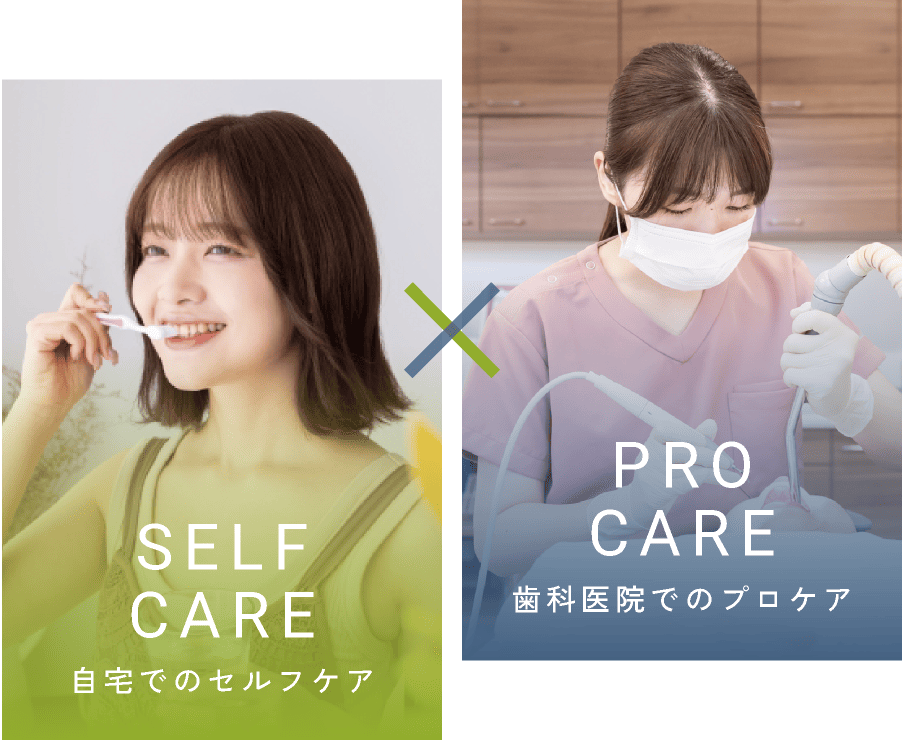 自宅でのセルフケア・歯科医院でのプロケア